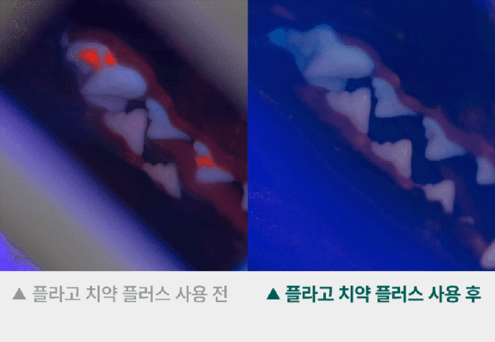 플라고 치약 플러스 (80g)-상품이미지-6
