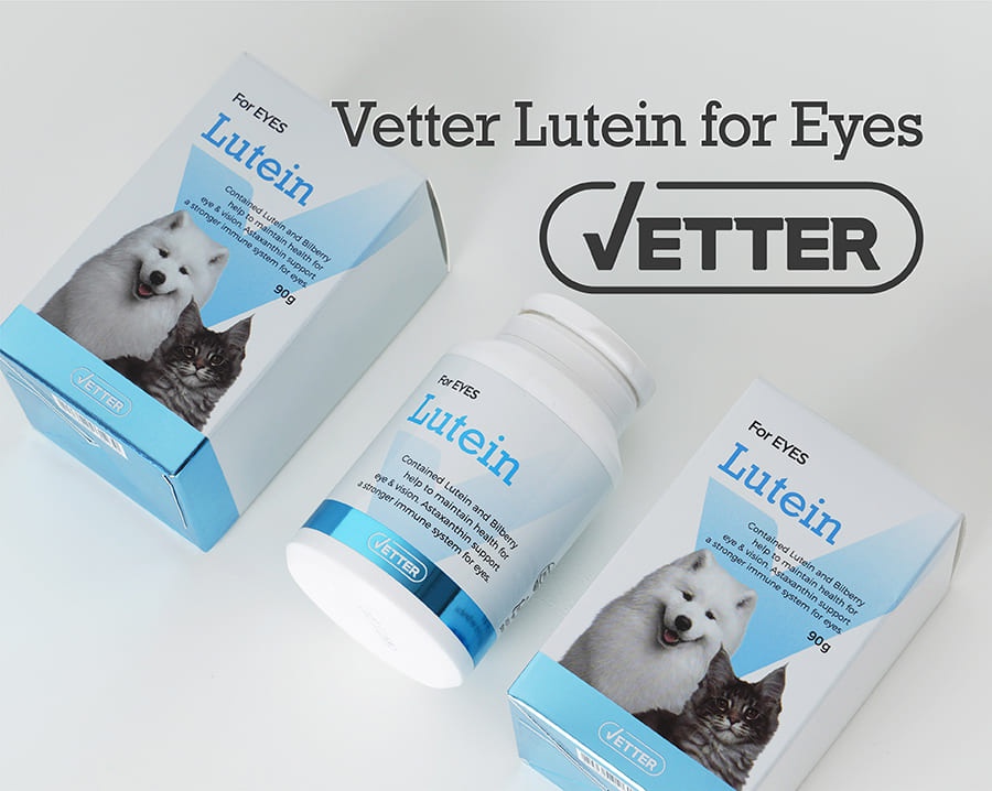 Vetter 댕냥이 영양 파우더 11종 (관절/피부/안정/눈/장/소화)-상품이미지-11