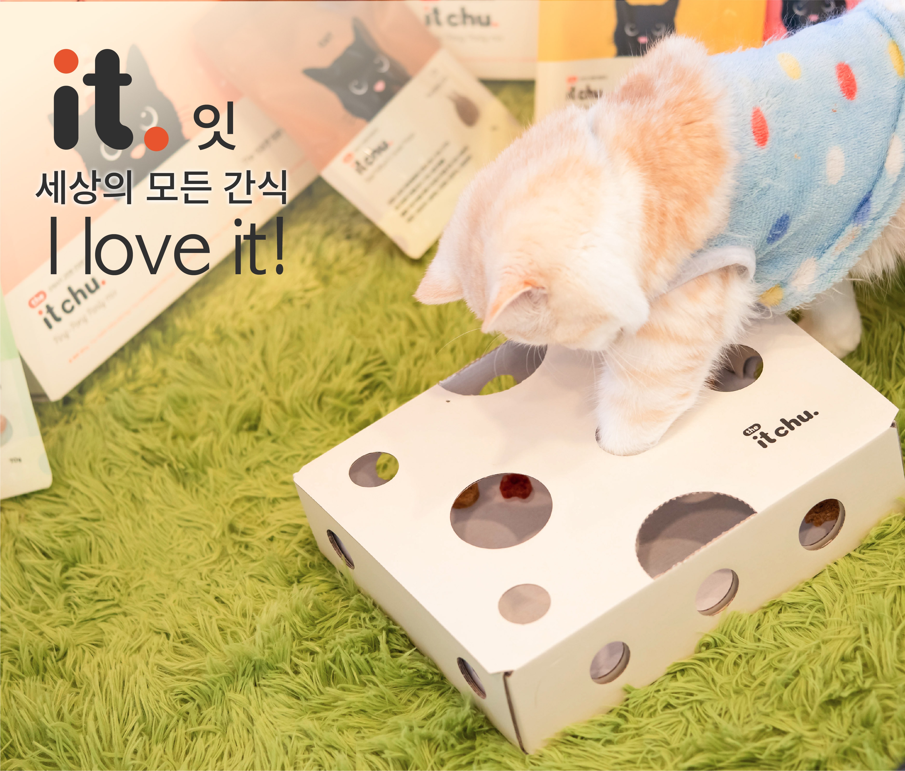 it 더 잇츄 캣 핑퐁 파티믹스 팩-상품이미지-23