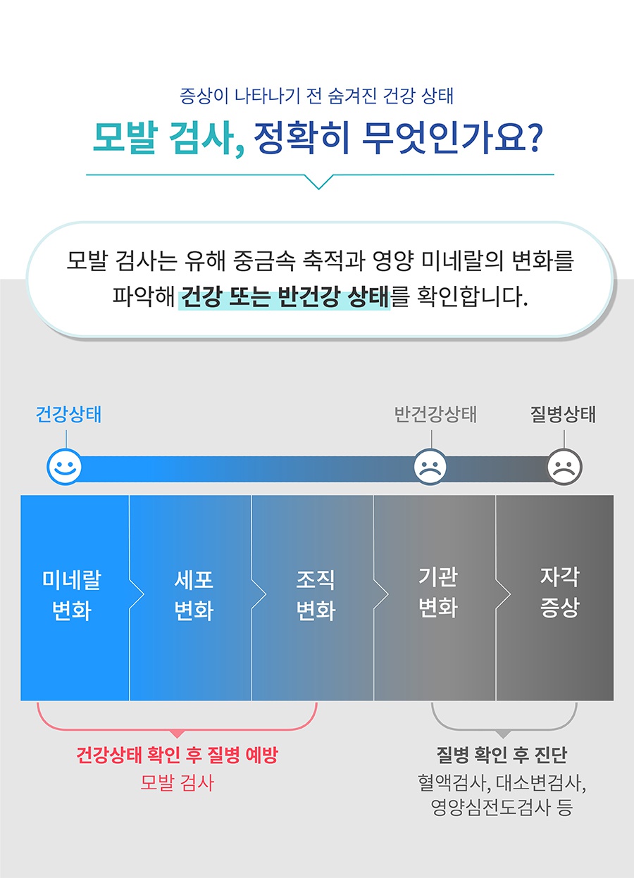핏펫 어헤드 밸런스 - 모발검사키트-상품이미지-5