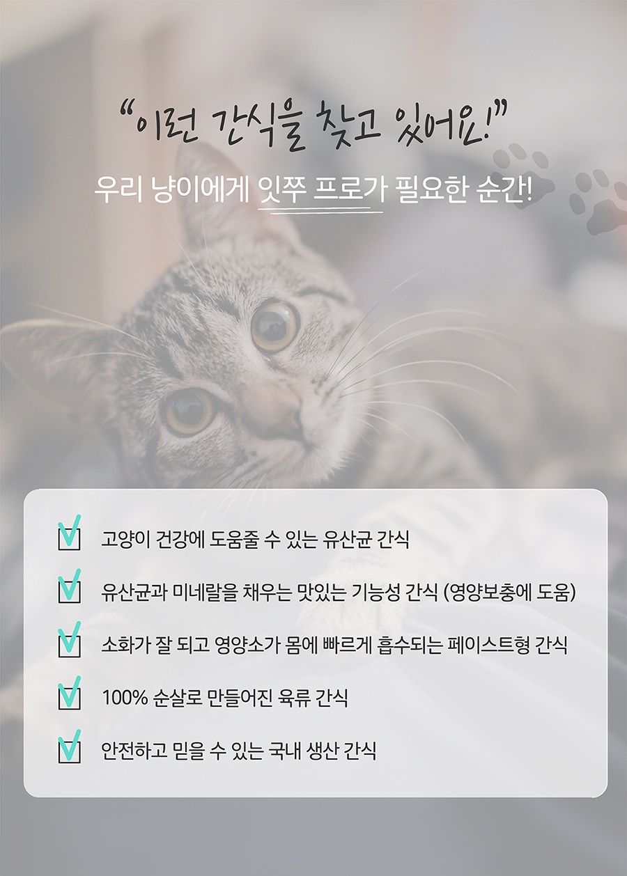 it 잇쭈 프로 캣 구강 대용량 (8개입*4개)-상품이미지-0
