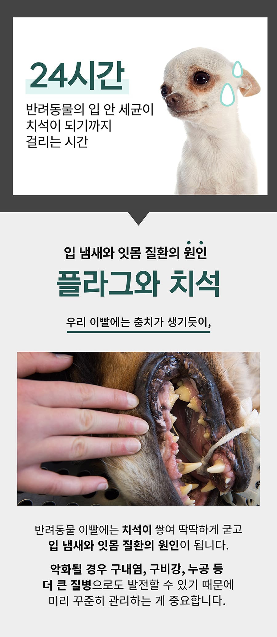 플라고 치약 플러스 (80g)-상품이미지-3