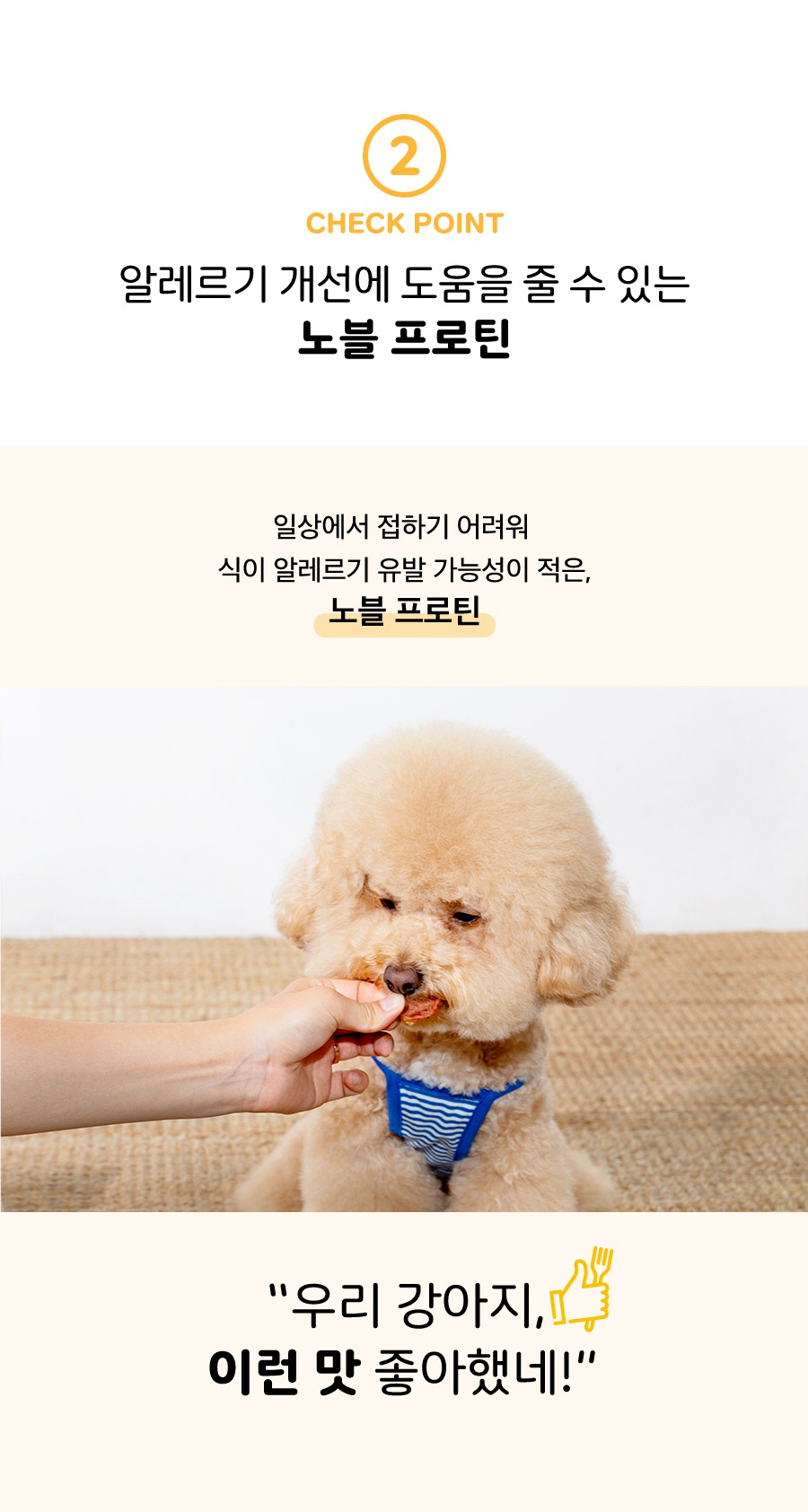 인섹트업 노블프로틴 간식 동애등에 & 칠면조-상품이미지-5