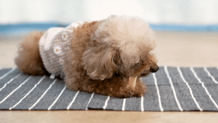 it 츄잇 소형견용 (플레인/산양유)-상품이미지-17